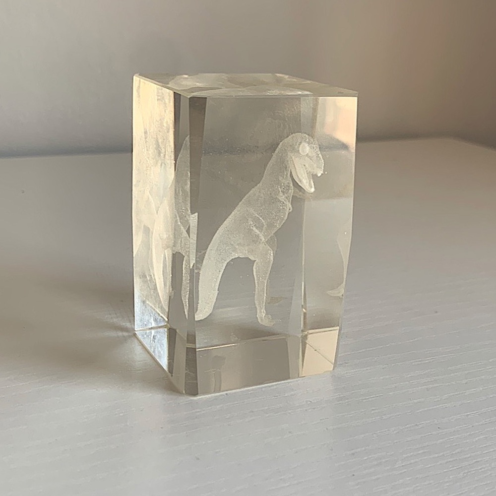 Multidimensional glass dinosaur